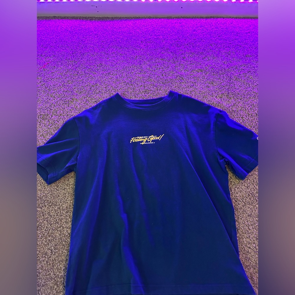 Tommyinnit Feeling Good! T-Shirt